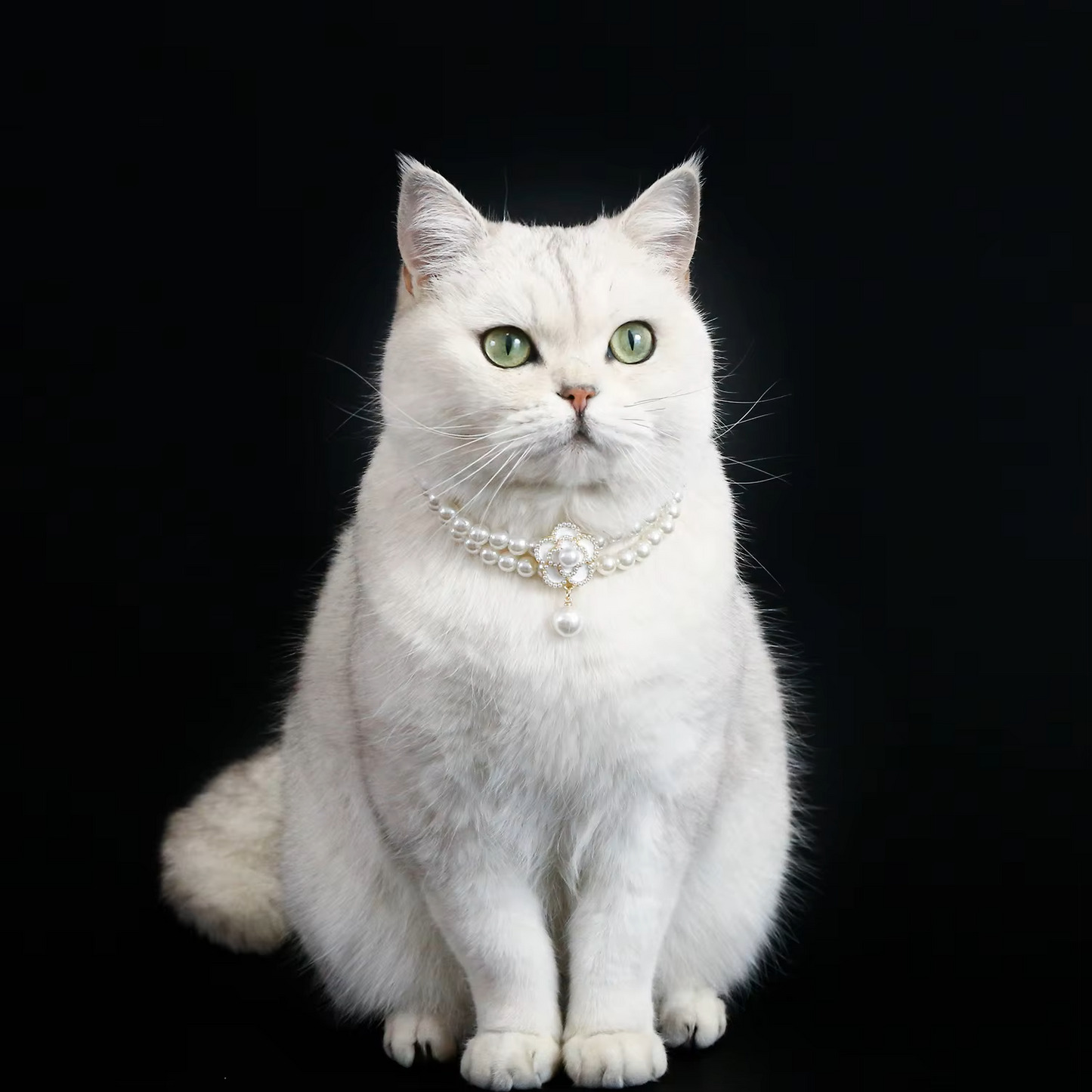 Elegant Camellia Faux Pearl Pet Necklace