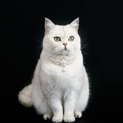 Elegant Camellia Faux Pearl Pet Necklace