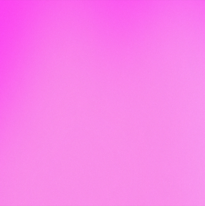 Iconic Pop Art Portrait of Your Pet - Custom Digital Art