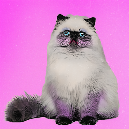 Iconic Pop Art Portrait of Your Pet - Custom Digital Art