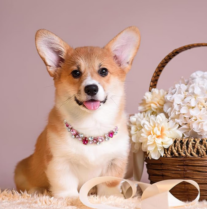 Stunning Rhinestone Adjustable Pet Necklace