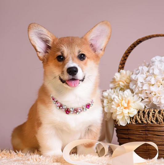Stunning Rhinestone Adjustable Pet Necklace