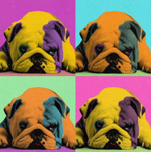 Warhol Style Pop Art Quad Portrait of Your Pet - Custom Digital Art