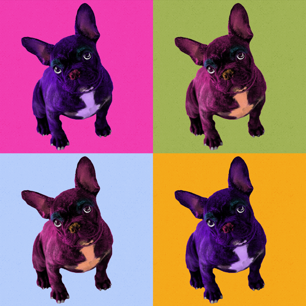 Warhol Style Pop Art Quad Portrait of Your Pet - Custom Canvas Print (Unframed)