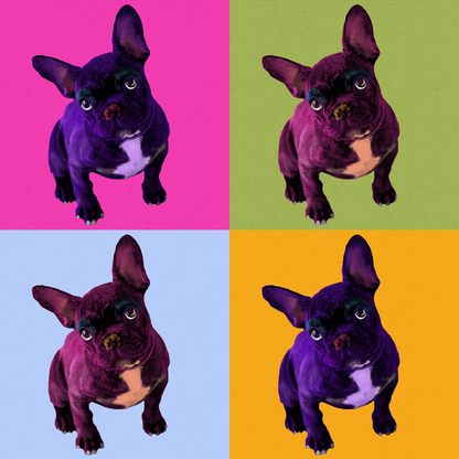 Warhol Style Pop Art Quad Portrait of Your Pet - Custom Canvas Print (Unframed)