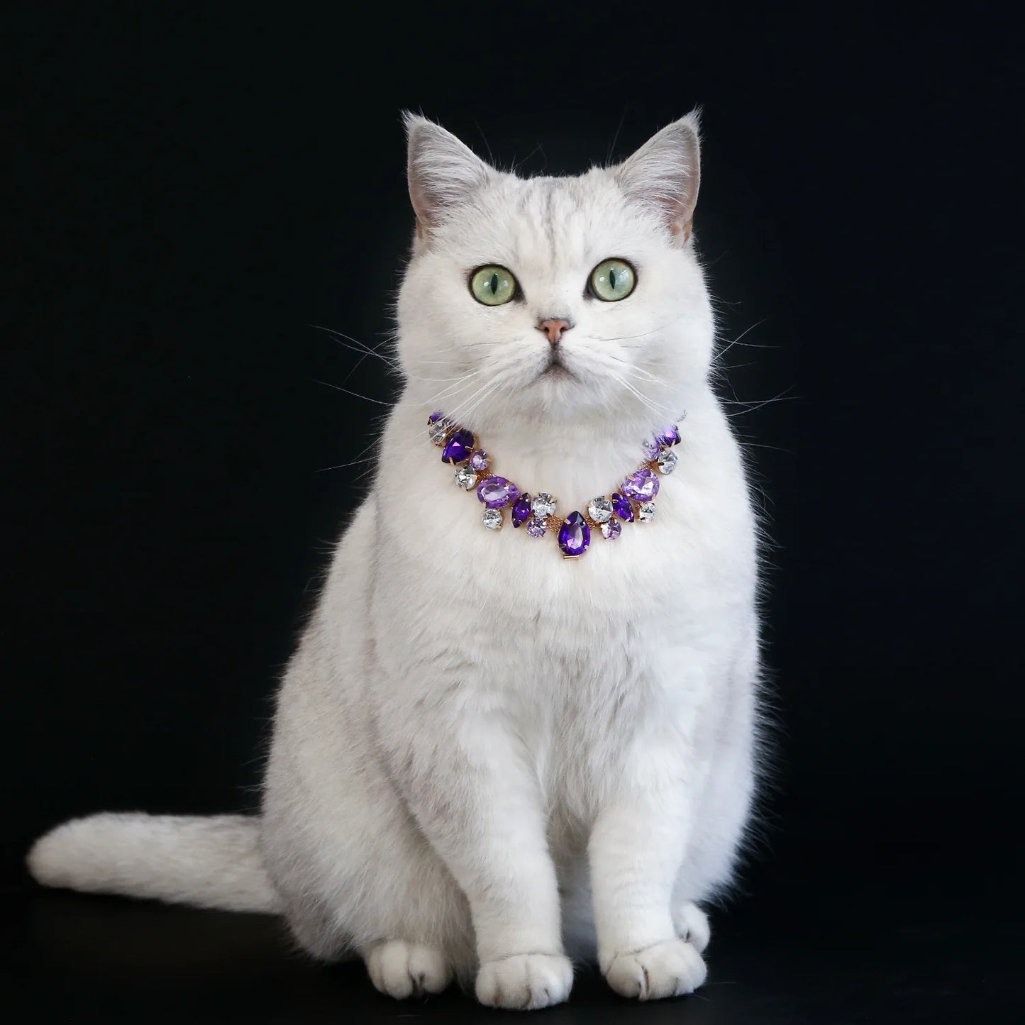 Stunning Rhinestone Adjustable Pet Necklace