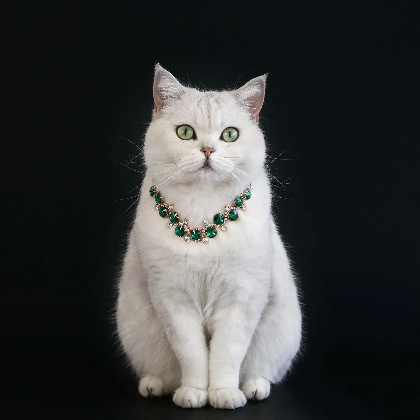 Belle of the Ball Faux Jewel Pet Necklace