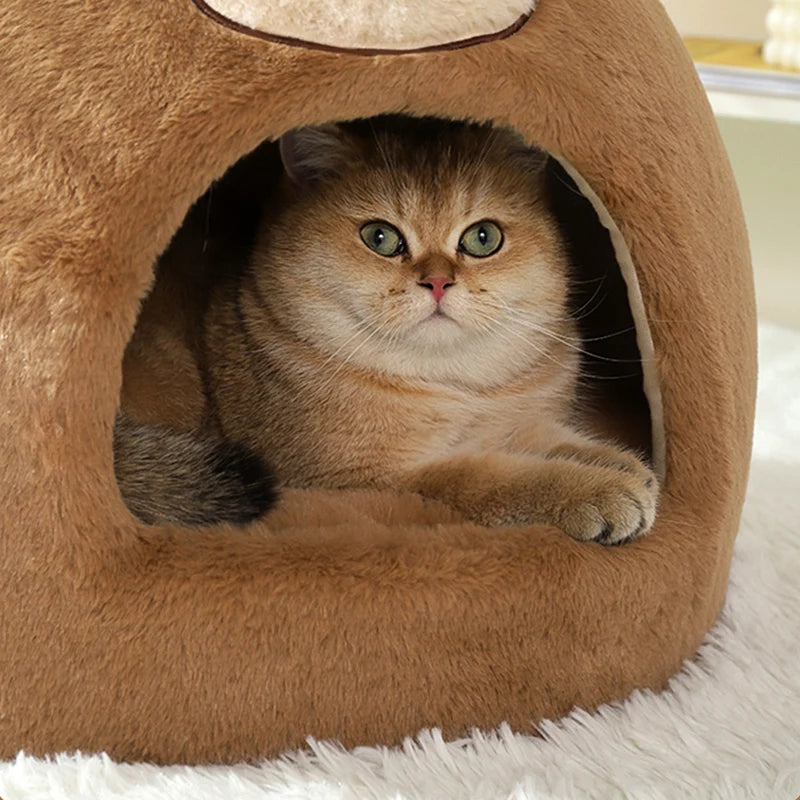Cuddly Teddy Cat Cave