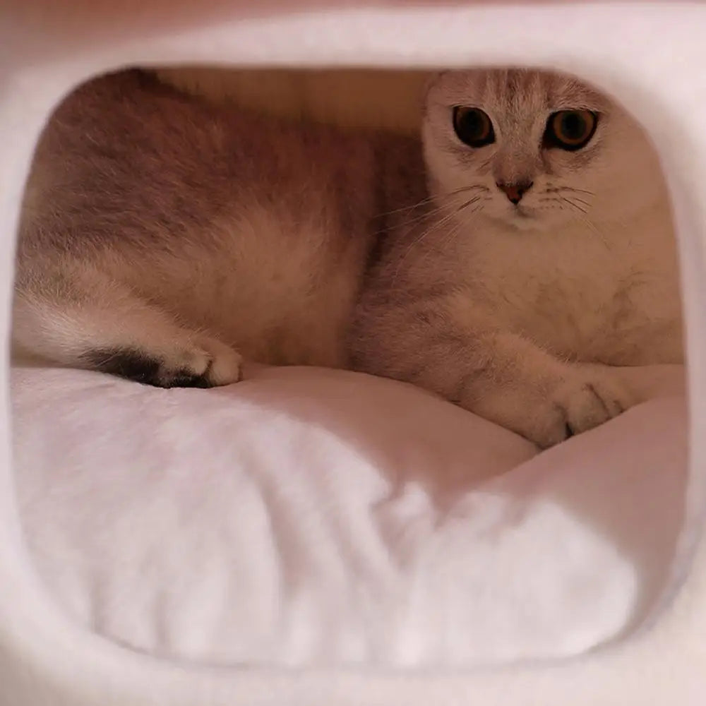 Fairytale Mushroom Cat Cave