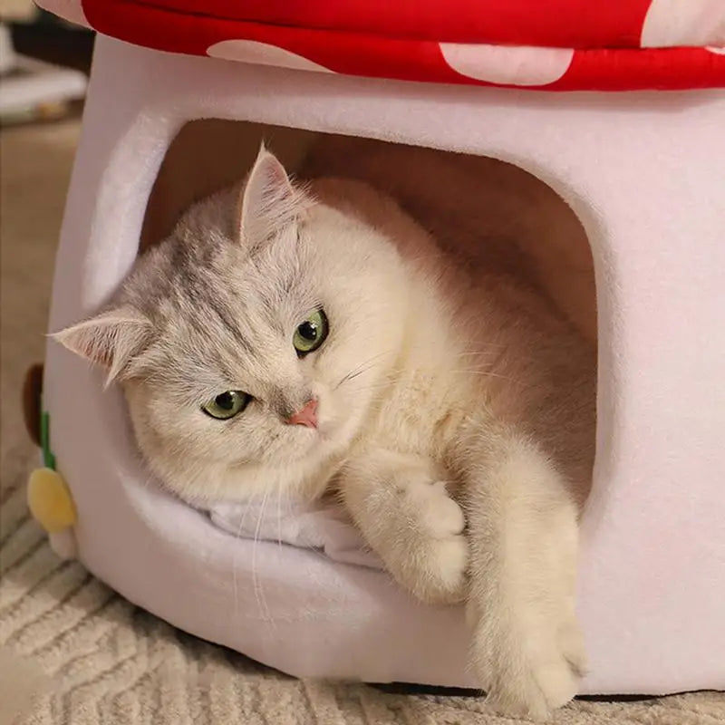 Fairytale Mushroom Cat Cave