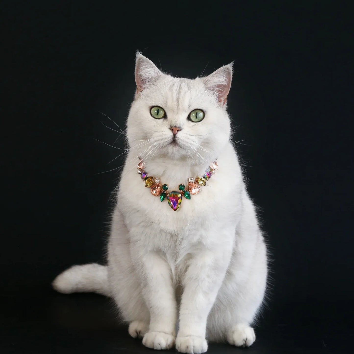 Belle of the Ball Faux Jewel Pet Necklace