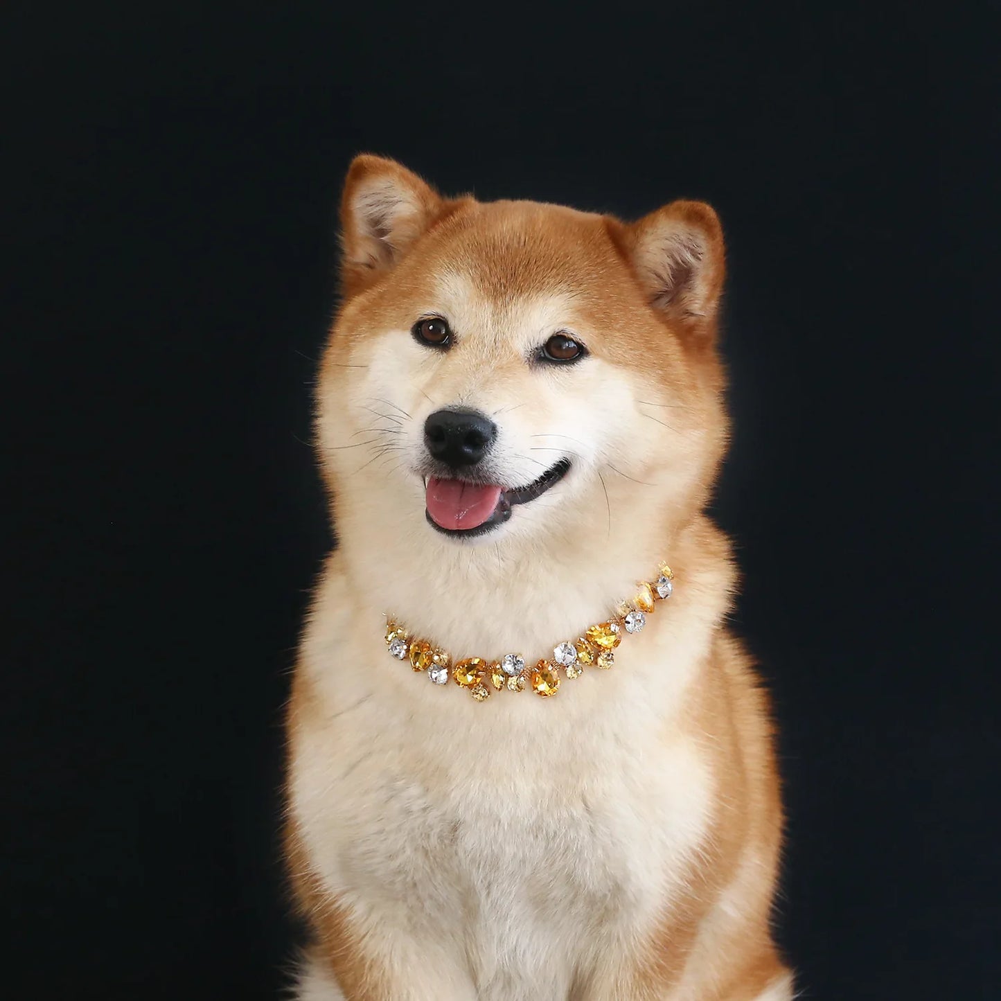 Stunning Rhinestone Adjustable Pet Necklace