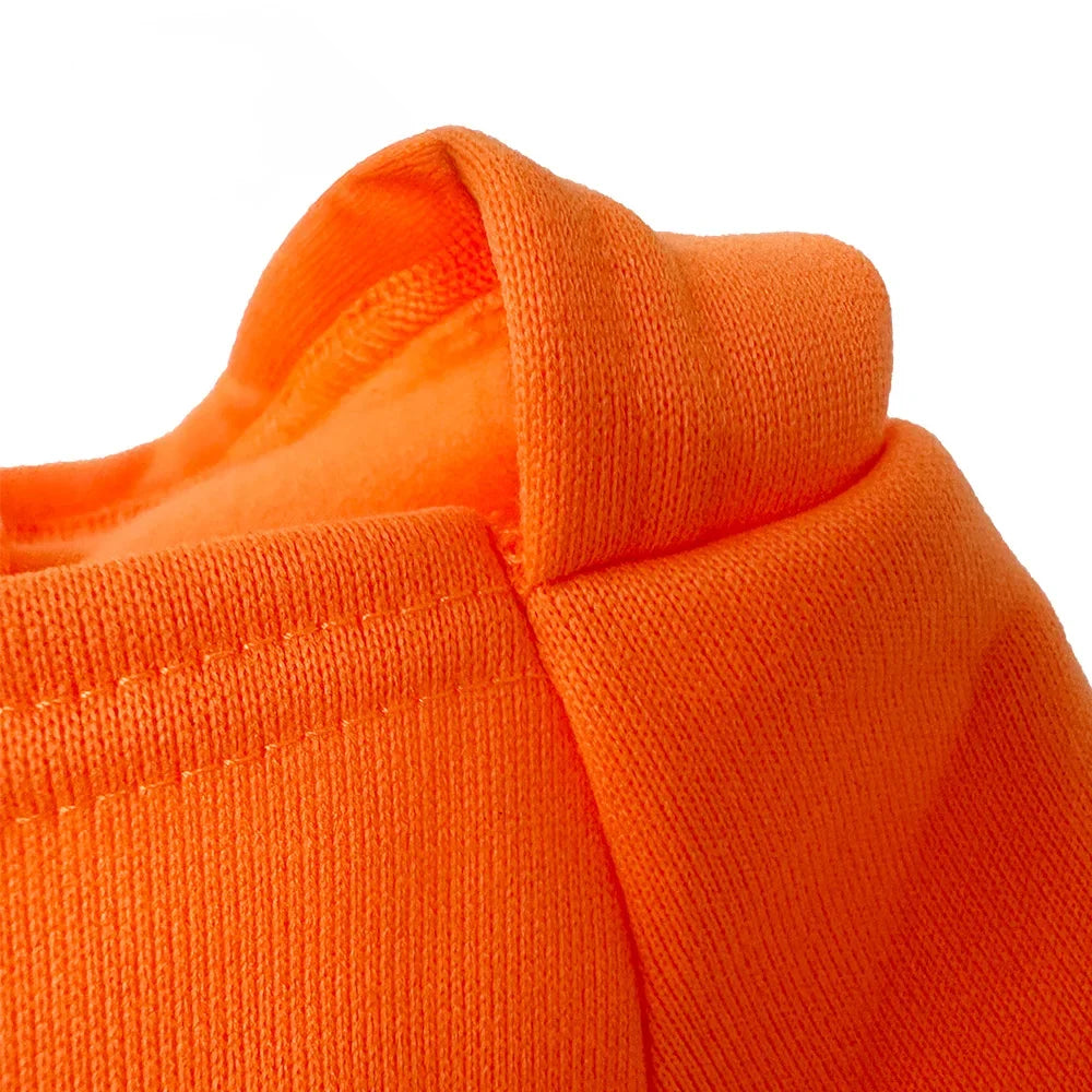 Ready Player One Dog Hoodie