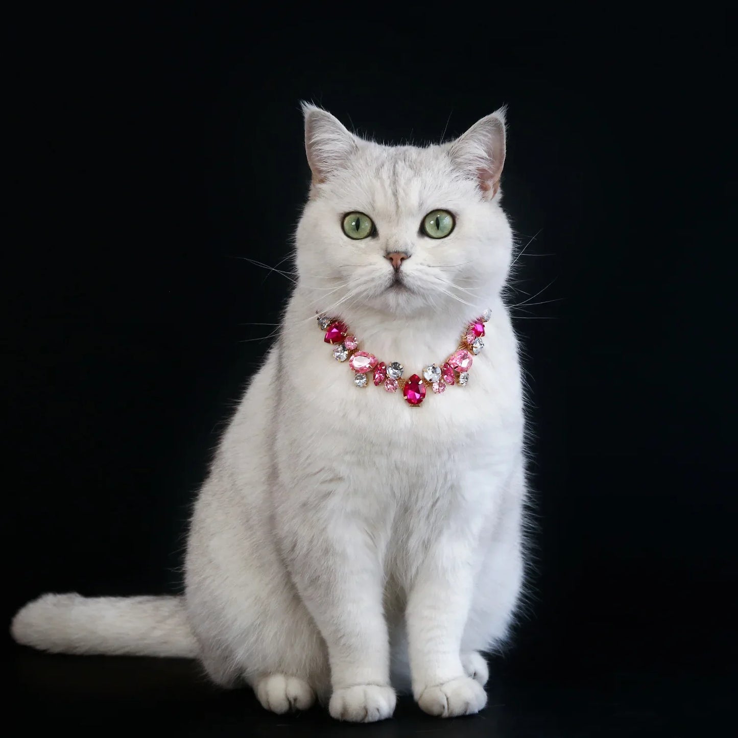 Stunning Rhinestone Adjustable Pet Necklace
