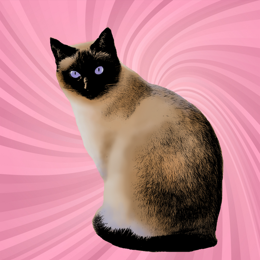 Iconic Pop Art Portrait of Your Pet - Custom Digital Art