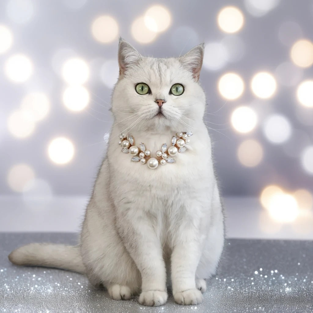 Belle of the Ball Faux Jewel Pet Necklace